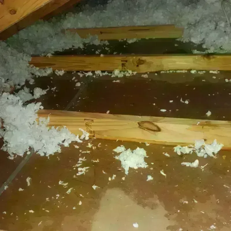 Attic Water Damage in Chester, PA