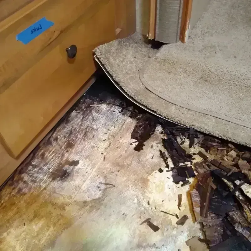 Wood Floor Water Damage in Chester, PA